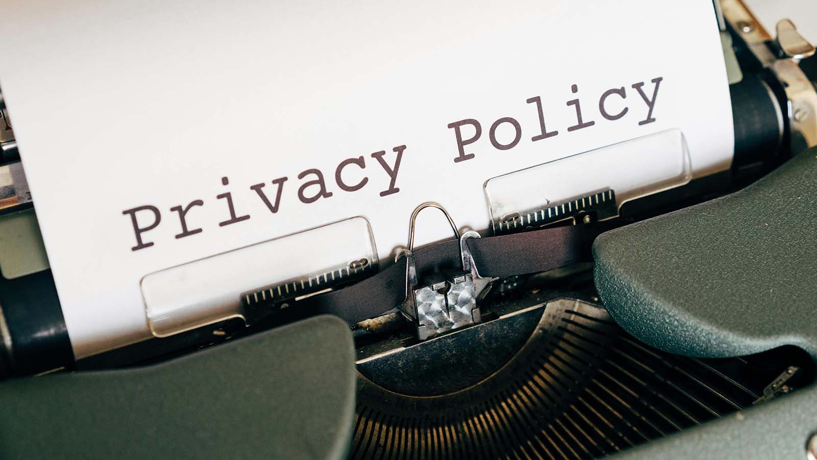 Model Privacy Policy