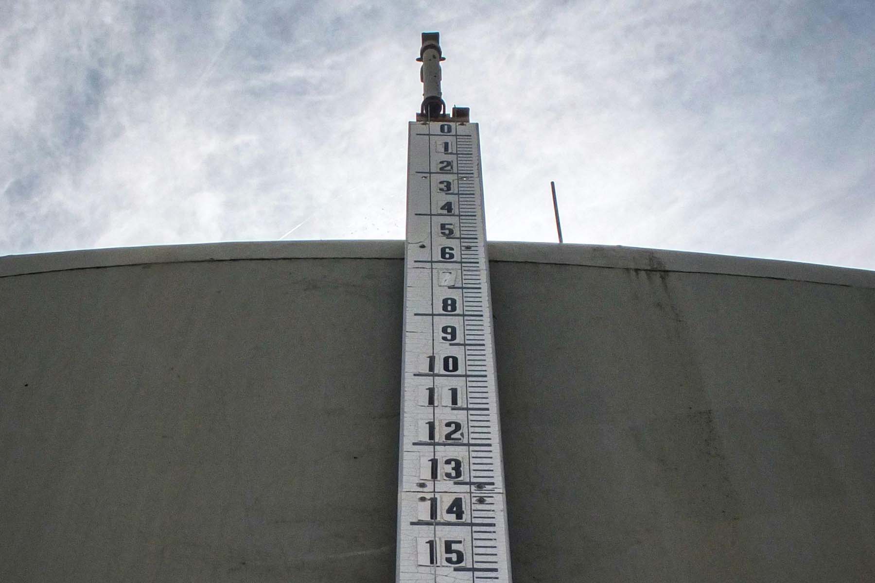 Beaconhouse Anthropometric Study